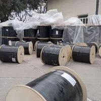 فیبر نوری ۱۲ کور مالتی مود نگزنس
