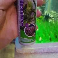 انواع غذا و دارو|ماهی|اردبیل, |دیوار