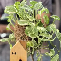 استخدام مشاور املاک هلدینگ حیدری مطهری شمالی