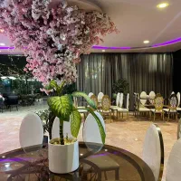 دورهمی شاد مخصوص خانمهای پر انرژی