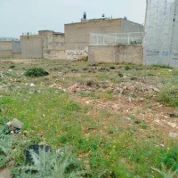 زمین مولاناباپروانه ۲۰۰متر