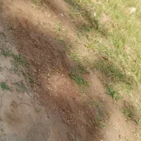 زمین بدون کاربری نزدیک بافت