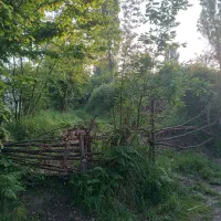 زمین ۱۸۰۰ متری واقع در روستای واسکس