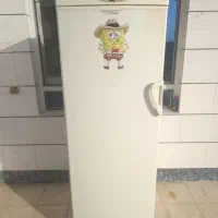 فریزر پارس موتور ژاپنی|یخچال و فریزر|طبس, |دیوار