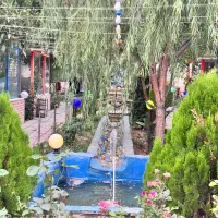جذب نیروی ساده آقا