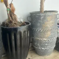 ۳تا گلدون به قیمت یک گلدون