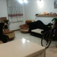 ۴۵متری تهاتر با ماشین خارجی پیکان شهر،دریاچه|فروش آپارتمان|تهران, پیکان شهر|دیوار