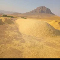 کاه درجه یک