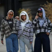 ترکیب شکت و هودی