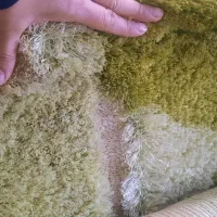 فرش ۶ متری تُرک|فرش|قائم‌شهر, |دیوار