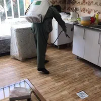 سمپاشی تخصصی ساس با ضمانت کتبی در مشهد