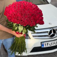 گلفروشی دسته گل رز قرمز هلندی|گل و گیاه طبیعی|تهران, شهرک غرب|دیوار