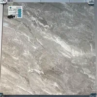 کاشی و سرامیک ۶۰*۶۰ اقتصادی|مصالح و تجهیزات ساختمان|ساری, |دیوار