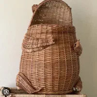 قورباغه حصیری و مجسمه قورباغه چوبی