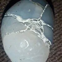 جواهر مروارید عتیقه که ازشکم ماهی دراومده|کلکسیون اشیاء عتیقه|اردبیل, |دیوار