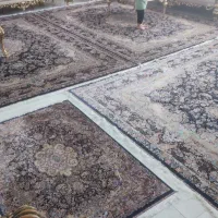 فرش دستباف گونه|فرش|اسلام‌شهر, شهرک قائمیه|دیوار