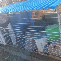 قفس حیوانات|لوازم جانبی حیوانات|نقده, |دیوار