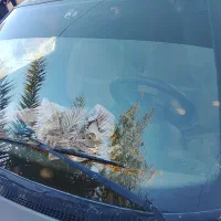 پژو۴۰۵ فروشی|خودرو سواری و وانت|سراوان, |دیوار