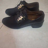 کفش|کیف، کفش، کمربند|بندرعباس, |دیوار