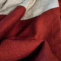 پرده پانچ