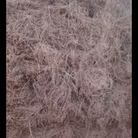 یونجه خوب امسال