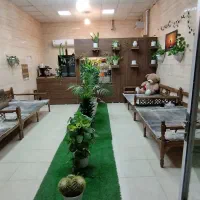 به یک خانم جهت کار در کافه نیازمندیم