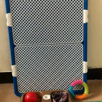 وسایل و ملزومات سگ