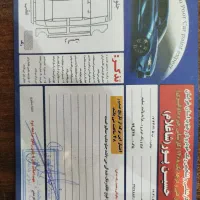 پراید وانت|خودرو سواری و وانت|تربتحیدریه, باغ ملی|دیوار