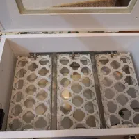 دستگاه جوجه کشی اتوماتیک|لوازم جانبی حیوانات|اردبیل, |دیوار