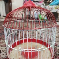 قفس پرنده قلاب دار
