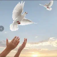 کمپ ترک اعتیاد(اجباری)