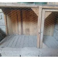 دوعددقفسه چوبی روسی