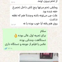 جوجه کشی مدل T25|لوازم جانبی حیوانات|شیراز, کوشک میدان|دیوار