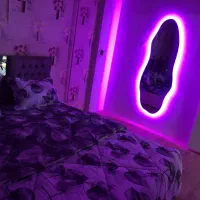 اجاره روزانه و ساعتی