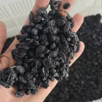 کشمش سبز و آبگیری انواع کشمش|خوردنی و آشامیدنی|رشت, منظریه|دیوار