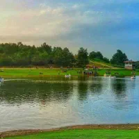 گروه دوستانه خانم ها