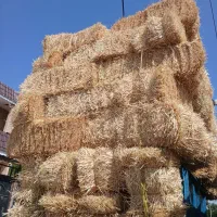 پرس گندم .پرس جو امسالی  شالی بونجه کاه کلزا
