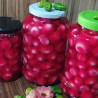 انواع ترشی خانگی باکیفت