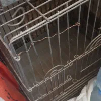 قفس کاسکو