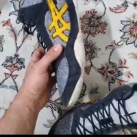 کفش کشتی اورجینال 43.5|تجهیزات ورزشی|قم, شهرک فاطمیه|دیوار