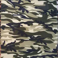 کیف ps4 اسلیم