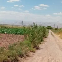 ۴ هکتار زمین کشاورزی با ۵ ساعت آب چاه موتور ۶ اینچ|فروش دفتر صنعتی، کشاورزی، تجاری|چناران, |دیوار