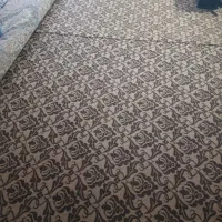 موکت در حد|موکت|دلند, |دیوار