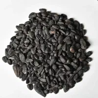 تخمه هم برای خوردن وهم برای دام پرواری  آدرس بستک