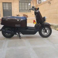 فروش فوری پاکشتی وکس