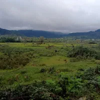 فروش زمین ۶۸۰ متری ماکلوان کد ۳۲|فروش زمین و ملک کلنگی|ماکلوان, |دیوار