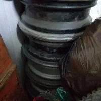 رینگ و قالپاق سکه ای