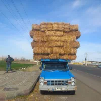 خرید فروش پرس گندم جو یونجه