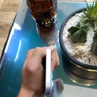 ایفن ۱۵نرمال|موبایل|کاشمر, |دیوار