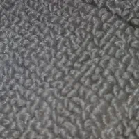 زمین ۲۰۰ از زمین‌ آقاسیدحمزه میدان دوزین